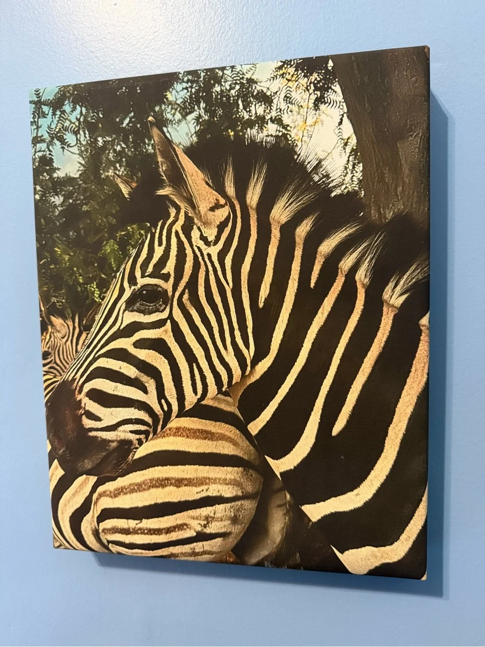 Original Canvas Wall Art - “Zebra Love” - 11 x 14